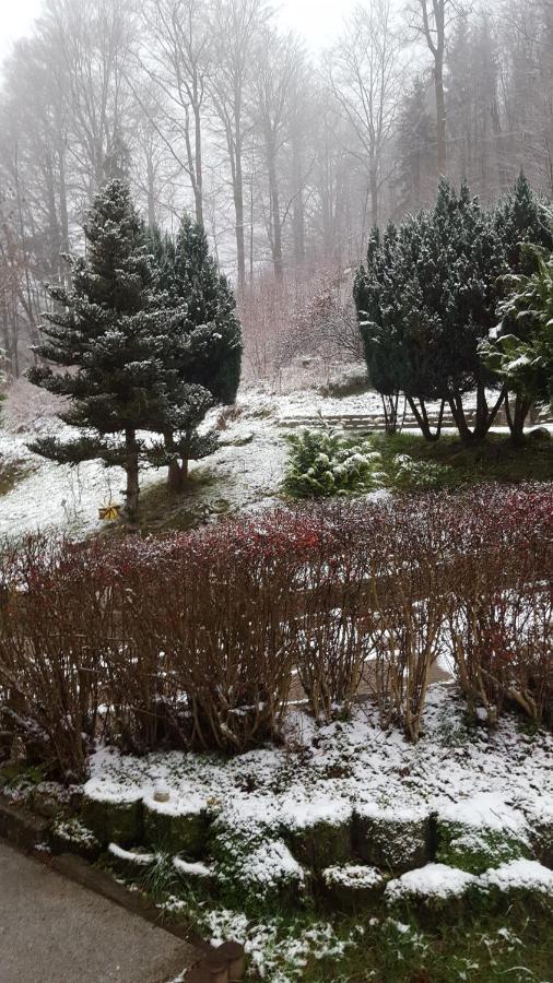 Ferienwohnung Aroba neu, auch für Monteure Fehrenbach Exterior foto